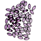 Cali purple beads