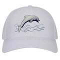 Dolphin Hat