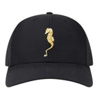 Sea Horse Hat
