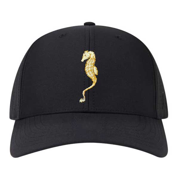 Sea Horse Hat